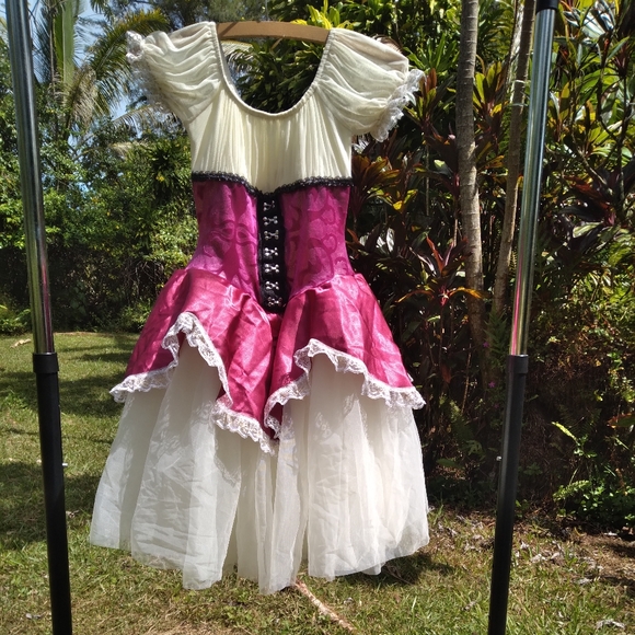 Renaissance Costume Pink Maroon Cream Dress Tulle Ruffle - Picture 9 of 11